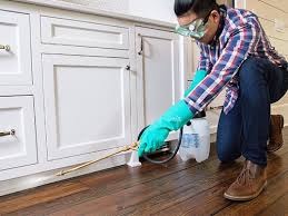 Best Real Estate Pest Inspections  in Belford, NJ