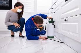 Best Fumigation Services  in Belford, NJ